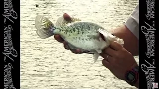 Crappie - Dealing with Spring Cold Fronts