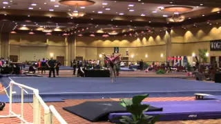 Level 10 Floor WOGA Classic 2015