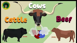 Cows || Learning about Cows for Kids #cow sounds