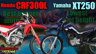 CRF300L and Yamaha XT250 review and comparison which is the best beginner dual sport motorcycle?