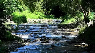 Som de Riacho/Cachoeira/Pássaros/Natureza/Para Dormir, Curar Enquanto Dorme/Meditar