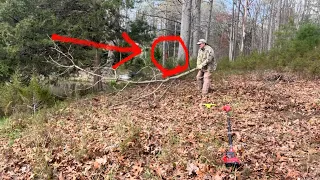 (HD) Bigfoot Sasquatch CLEARLY Seen Creeping Around On Man As He Does Tree Work On His Property!