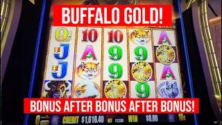 BUFFALO GOLD SLOT! Bonus After Bonus! BIG WIN!