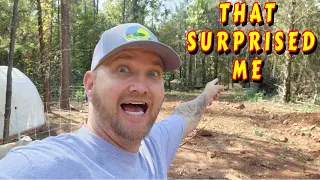 I WAS SHOCKED!!!  |tiny house, homesteading, off-grid, cabin build, DIY, HOW TO sawmill tractor