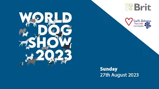 WDS 2023 - Sunday