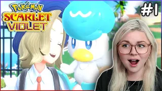 Quaxly Nation RISE UP | Pokemon Scarlet & Violet Playthrough