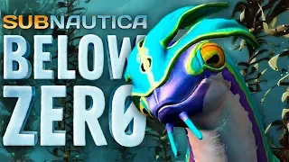 ПРИРУЧИЛ ГОПОТУ ► Subnautica: Below Zero #4