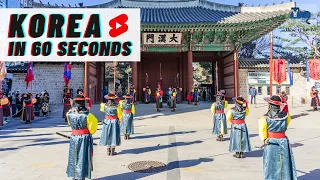 Have you seen the Korean Royal Palace Guards before? [Korea in 60 Seconds]