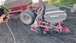 Посів соняшника по strip-till