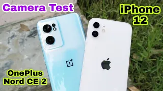 OnePlus Nord CE 2 5G vs iPhone 12 Camera Test | Camera Companies | Which is The Best? 🔥🔥🔥