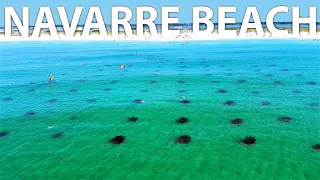 Best Snorkeling Spot in Navarre Beach!