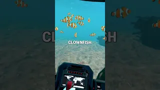 I explored the ocean in VR.