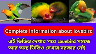 Lovebird information fact।Lovebird full and complete information।birds।@AbulAviary