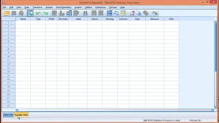 V5.9 - Calculate Power for Correlation in SPSS