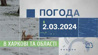 Прогноз погоди в Харкові та Харківській області на 2 березня