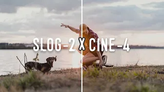 SLOG-2 OU CINE-4 | QUAL MELHOR PERFIL DE COR DA SONY ?