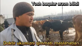 Beshariq Mol bozori Yosh buqalar va ģunajinlar narhlari 11.02.2024yil