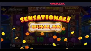 Выиграл в КАЗИНО 115000  х8000! Дикий ЗАНОС в Собак! Собаки занесли! the dog house megaways