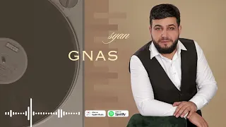 Ara Hovhannisyan - CHGNAS