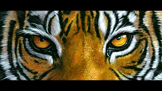 L'OEIL DU TIGRE -   La magnifique musique composée Bill Conti. REMAKE STUDIO MUSIKAMIKE