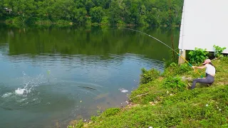 Best Video Hook Fishing. Beautiful Girl Hunting Big Black Carp