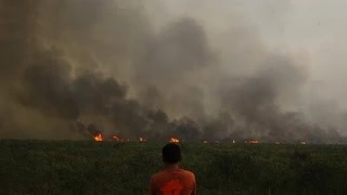 Такого ще ніхто не чув... "майский чай"