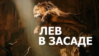 КАК ЛЕВ В ЗАСАДЕ - Вячеслав Бойнецкий