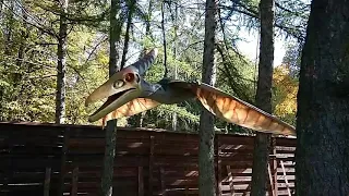 Парк Динозаврів у Хмельницькому: звуки Птеранодона