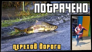 Потрачено. Переход дороги. Лучшие приколы, смешные видео и фейлы