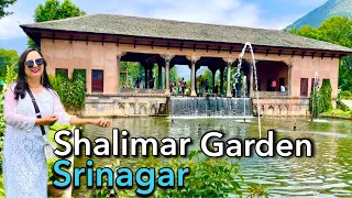 शालीमार बाग का पूरा इतिहास ।Shalimar garden srinagar | pooja ranaut | #srinagar | #kashmir |