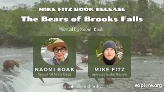 Bears of Brooks Falls Book Release Live Chat by Mike Fitz