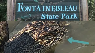 Let's Visit #Fontainebleau #State #Park