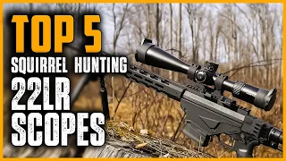 Best Scope For 22lr Squirrel Hunting | Top 5 Best Rimfire Scope for 22LR in 2024