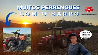 MF 255 TURBO CORTANDO SILAGEM NO BARRO! Ensiladeira JF C- 120