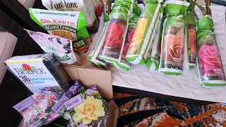 What I bought so far for the Spring 2024 garden. Bulbs, Tubers, Bare root perennials and Roses!