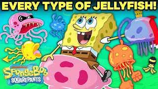 EVERY Type of Jellyfish in Bikini Bottom! ⚡️ | SpongeBob