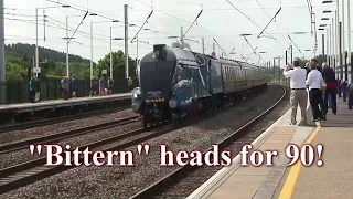 Bittern heads for 90  (DBLM Steam) archive content