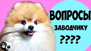 ПОКУПКА ЩЕНКА ✅ВОПРОСЫ ПРОДАВЦУ ЧТОБЫ НЕ ОБМАНУЛИ