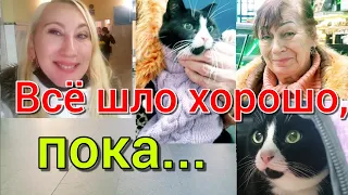 КАК МЫ ДОБИРАЛИСЬ ДО БОРИСПОЛЯ❤УДАЧА И УДАР РЯДОМ...😮