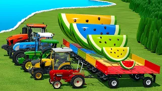 BIG & SMALL WATERMELON SLICES TRANSPORTING WITH DIFFERENT TRACTORS BATTLE & DEEP MUD! FS22