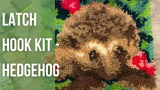 Latch hook kit - hedgehog (with Timelapse)