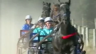 Harness Racing,New Zealand-1995 (Star Stud Pacing)