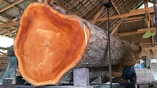 1000 Year Old Wooden Giant from Labuan Bajo Is Split By a Dangerous Sawmill