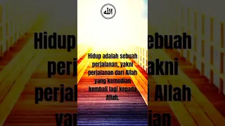 Hidup Adalah Sebuah Perjalanan. #videoshort #katakatamotipasi #islamic
