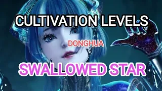 CULTIVATION LEVELS || DONGHUA || SWALLOWED STAR ‼️tahapan kultivasi‼️