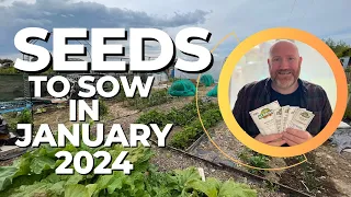 10 Must Sow Seeds For January Sowing