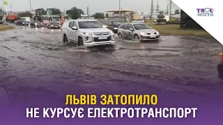 Львів затопило. Не курсує електротранспорт