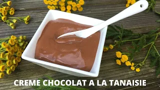 Crème chocolat à la tanaisie