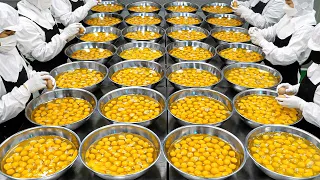 special sight! The amazing scale of Korean food factory production process BEST8 -Korean street food