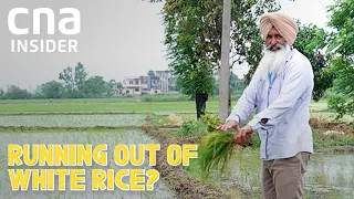 Hybrid Purple Rice That Is More Nutritious, Can Better Weather Climate Change? | Forgotten Palate